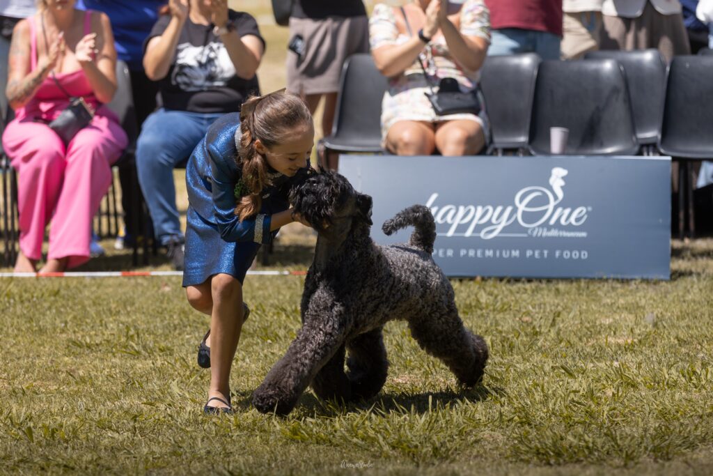 Leyr con Menta_Kerry Blue Terrier